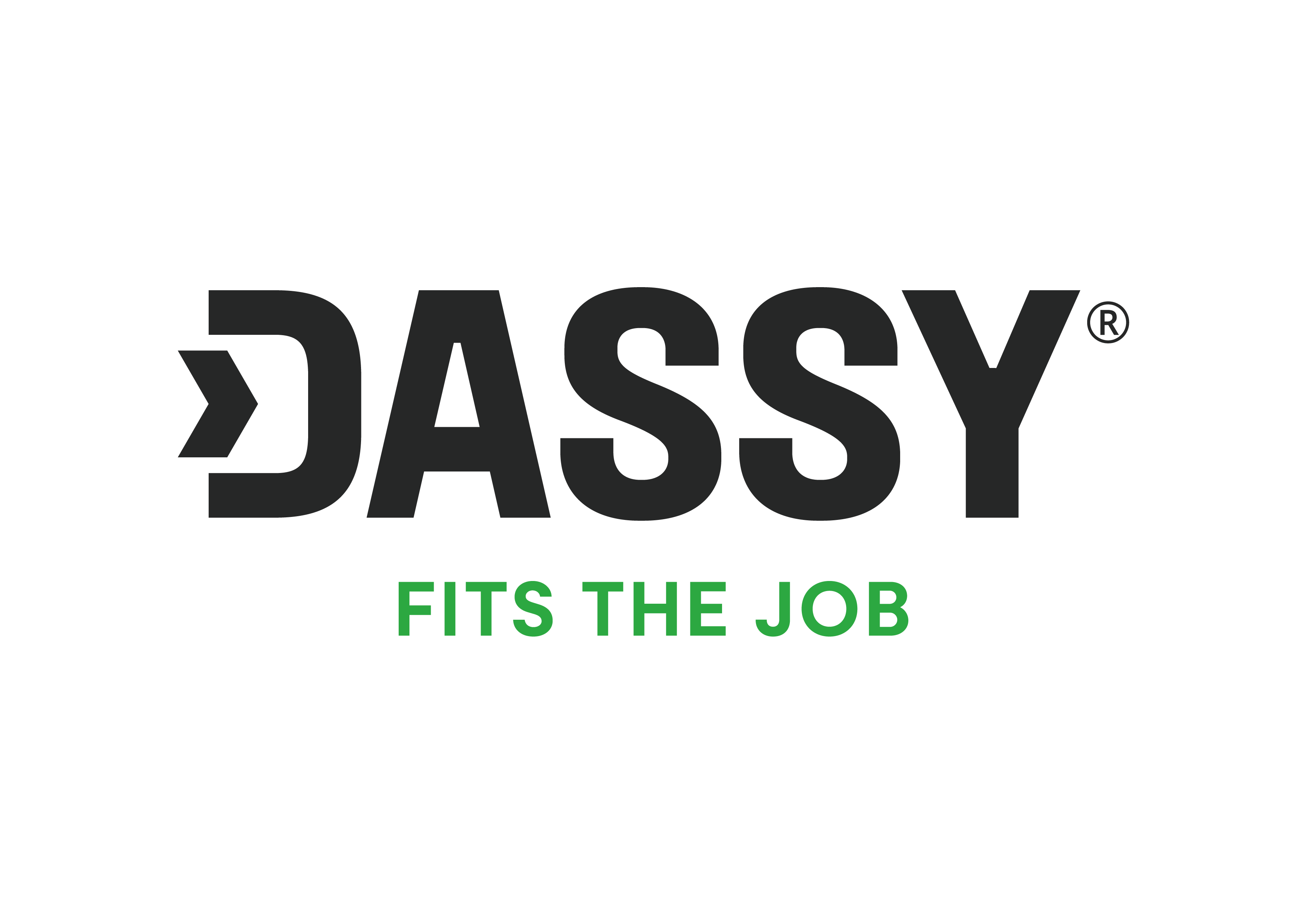 DASSY_Logo